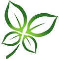 Part-time Fruits and Vegetable Packer @ Mandai Foodlink job at Aries Fresh Pte Ltd in Singapore